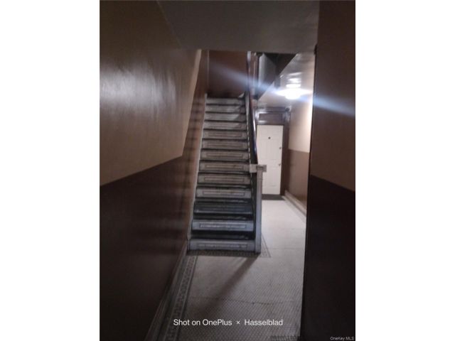 [PHOTO]