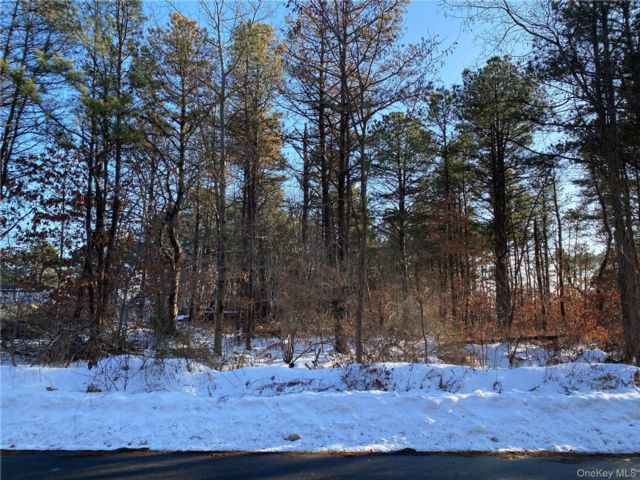 Lot <b>Size:</b> 100x150 &nbsp;House style home in Bellport