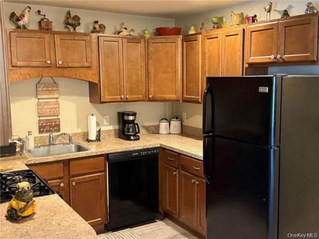 [PHOTO]