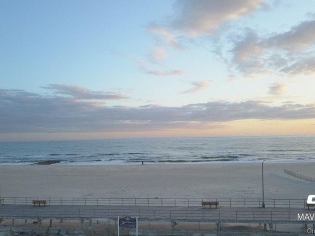 [PHOTO]