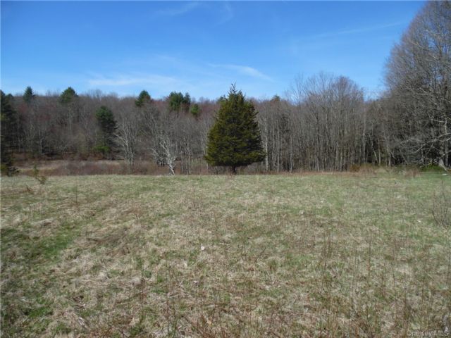 Lot <b>Size:</b>  &nbsp;House style home in Bethel