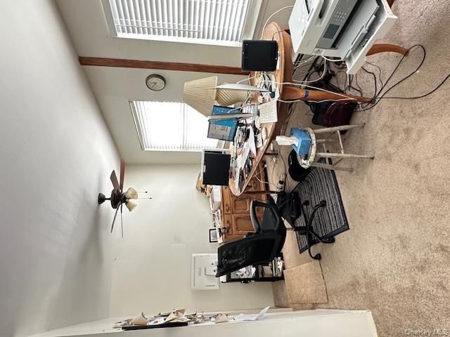 [PHOTO]