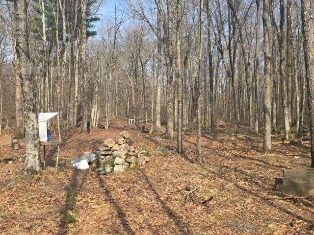 Lot <b>Size:</b>  &nbsp;House style home in Monticello