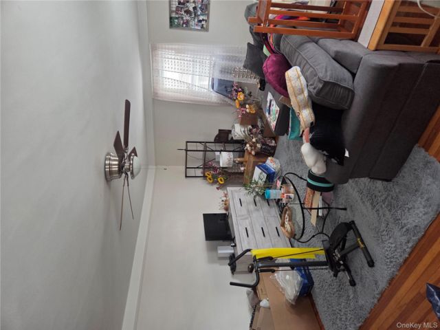 [PHOTO]
