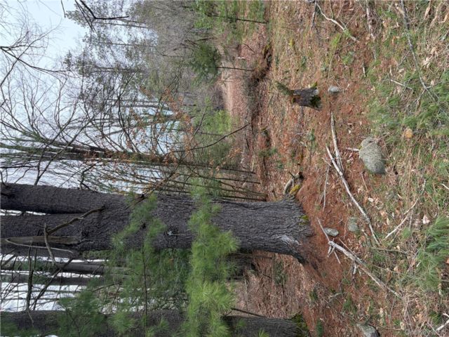 Lot <b>Size:</b>  &nbsp;House style home in Monticello