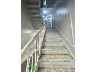 [PHOTO]