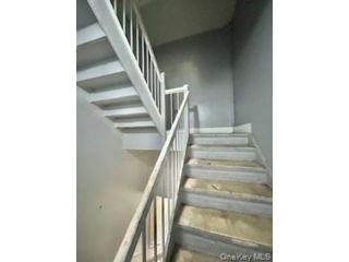 [PHOTO]