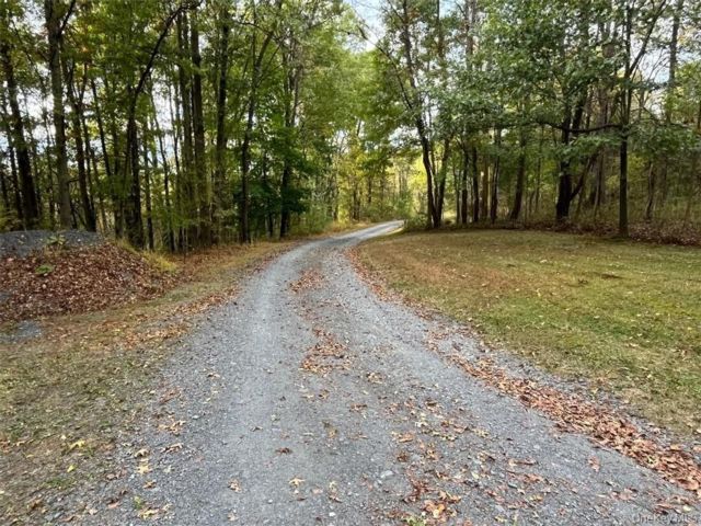 [PHOTO]
