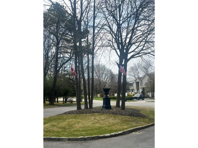 [PHOTO]