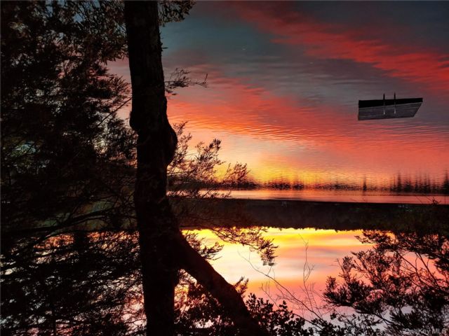 [PHOTO]