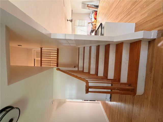 [PHOTO]