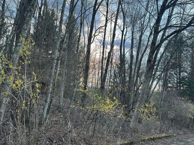 Lot <b>Size:</b>  &nbsp;House style home in Woodridge