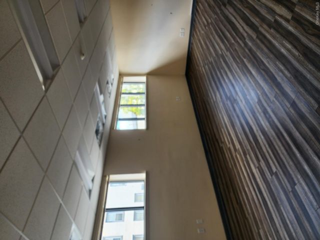 [PHOTO]
