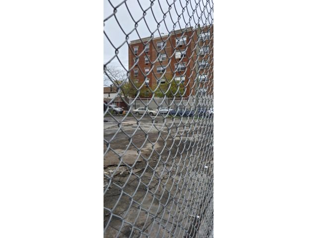 [PHOTO]