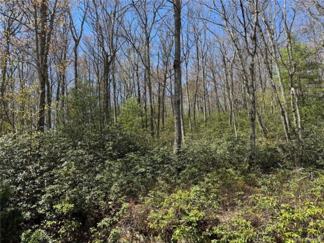 Lot <b>Size:</b>  &nbsp;House style home in Port Jervis