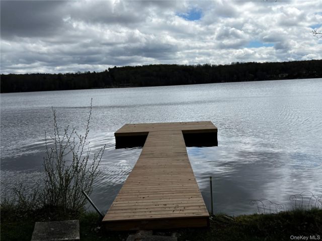 [PHOTO]
