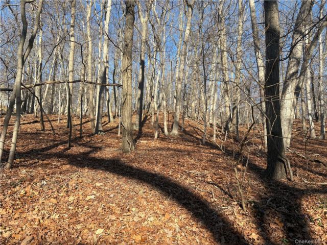 [Miller Place Real Estate, listing number 7279800]