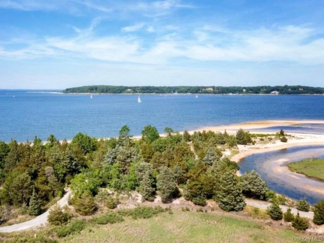 [PHOTO]