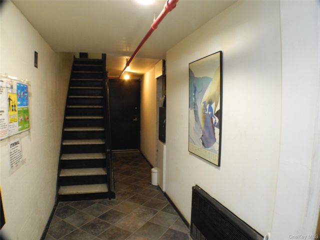 [PHOTO]