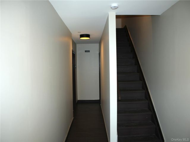 [PHOTO]
