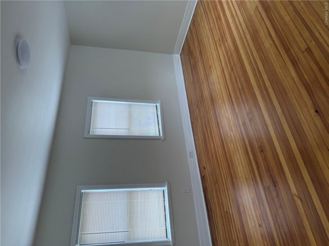 [PHOTO]