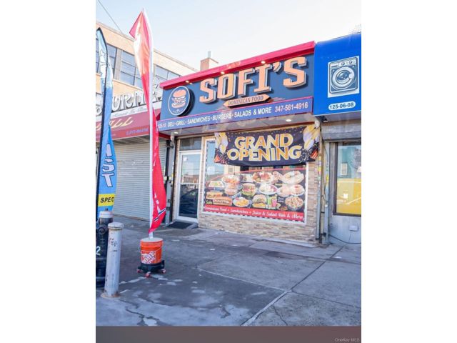 [South Ozone Park Real Estate, listing number 7289119]