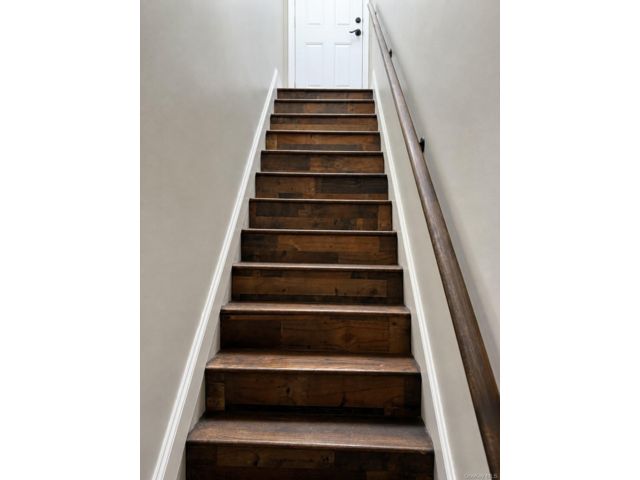 [PHOTO]