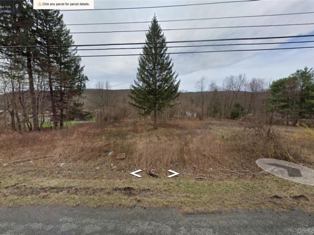 Lot <b>Size:</b>  &nbsp;House style home in Port Jervis