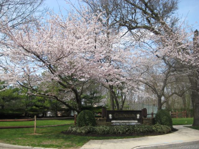 [PHOTO]