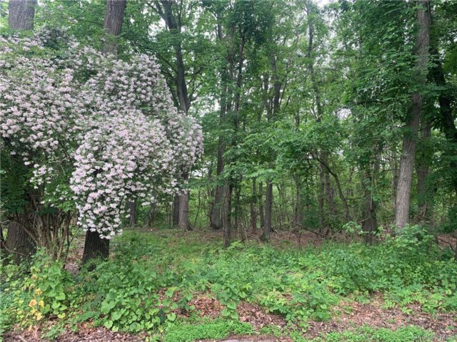 [Port Jefferson Real Estate, listing number 7292687]