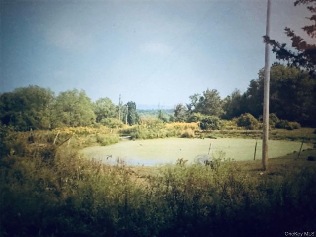 [PHOTO]