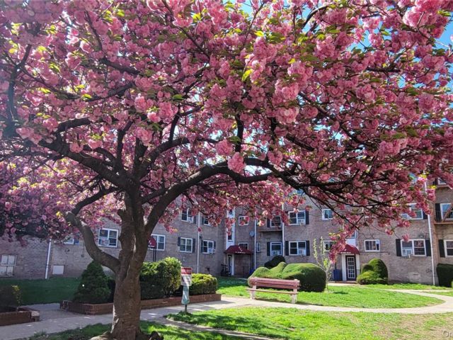  2 BR,  1.00 BTH &nbsp;Garden style home in Forest Hills