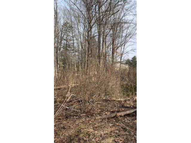 [Mahopac Real Estate, listing number 7294078]