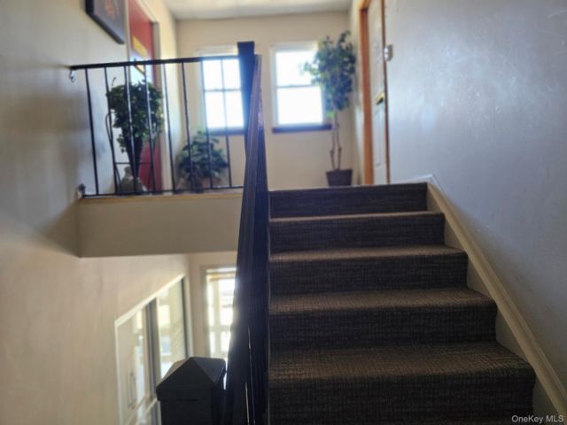 [PHOTO]