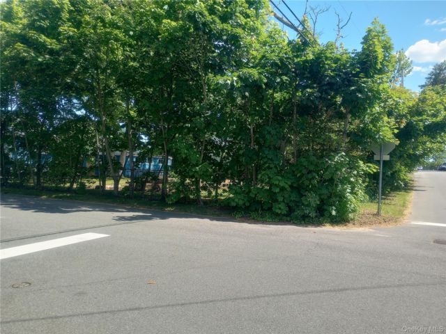 [PHOTO]