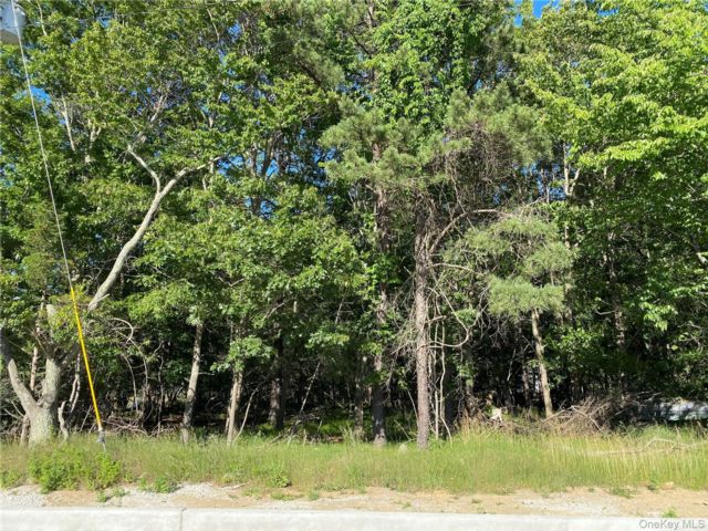 Lot <b>Size:</b> 161'x271' &nbsp;House style home in Medford