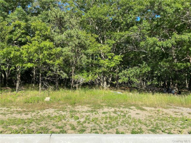 Lot <b>Size:</b> 134'x271' &nbsp;House style home in Medford