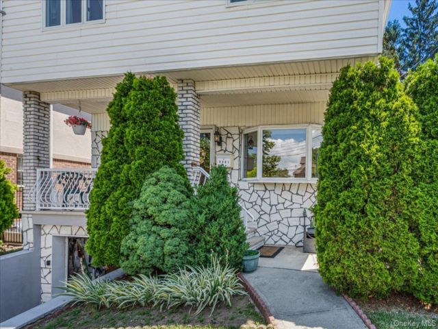 [PHOTO]