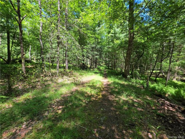 [Monticello Real Estate, listing number 7303249]