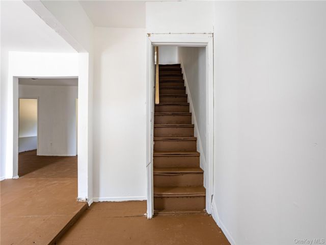 [PHOTO]