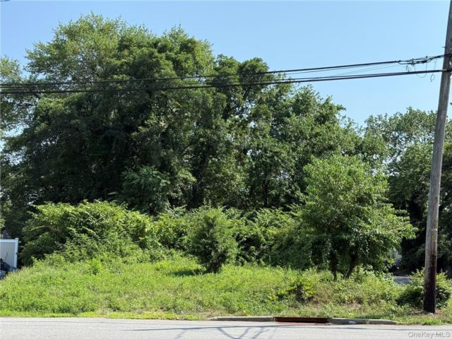 Lot <b>Size:</b> 60x152 &nbsp;House style home in Wyandanch
