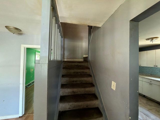 [PHOTO]