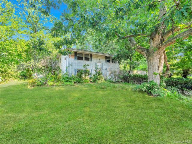 [PHOTO]