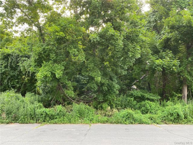 Lot <b>Size:</b> 80x100 &nbsp;House style home in Bellport