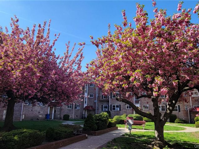  2 BR,  1.00 BTH &nbsp;Garden style home in Forest Hills