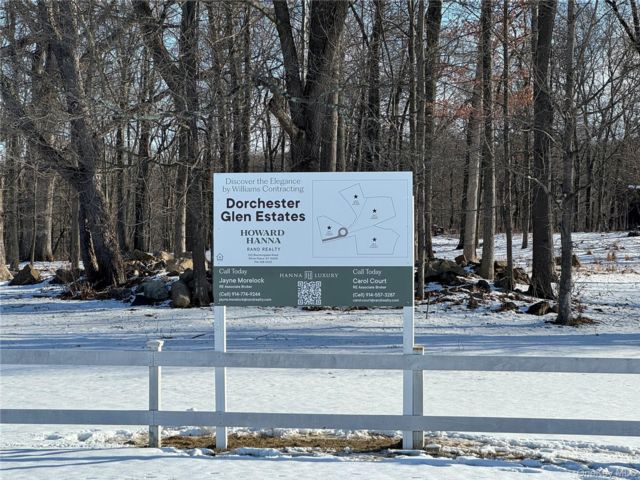 [PHOTO]