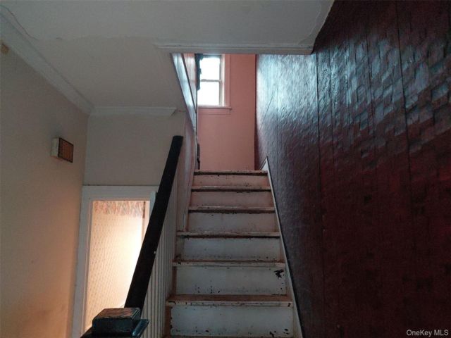 [PHOTO]