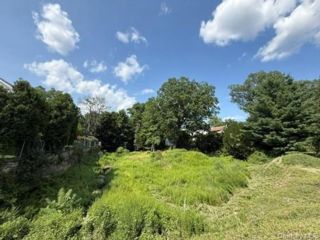 Lot <b>Size:</b> 215.19 Depth  11 &nbsp;House style home in Peekskill