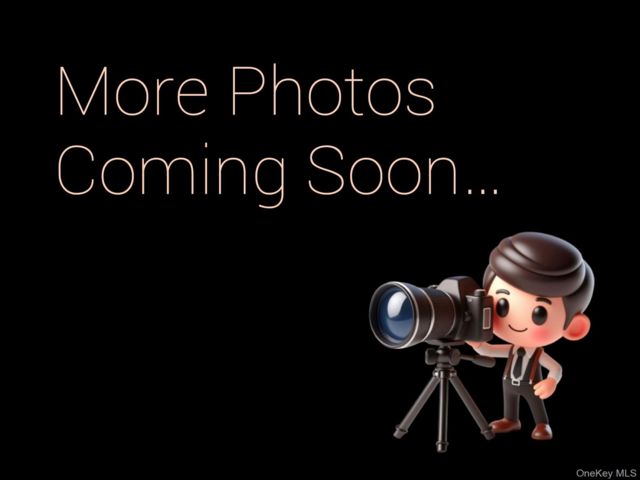 [PHOTO]