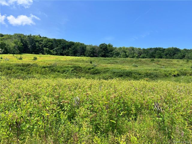 Lot <b>Size:</b>  &nbsp;House style home in Port Jervis